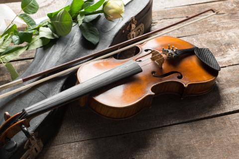 Violin, violin case, and white rose on rustic wooden floor