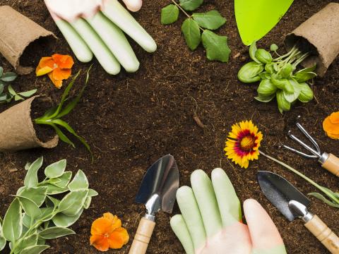 Gardening pots, gloves, and plants laid atop fresh soil