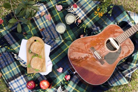 Top view of picnic blanket atop which sits an acoustic guitar, sandwiches, and lemonade