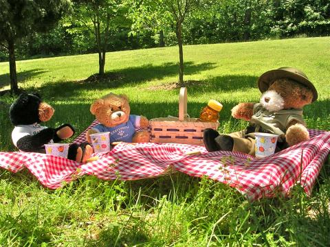 Teddy Bear Picnic