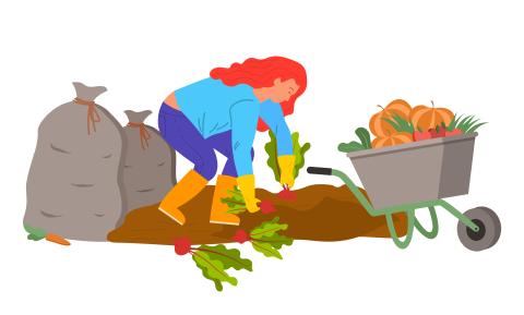 Person gardening