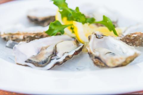 Photograph of oysters with leaf garnish and lemon slices on a white plate.