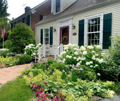 Photograph of the front of a small yellow cottage with thick verdant foliage up front