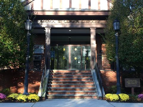 Photograph of Emma S. Clark's front library steps coated in dappled light