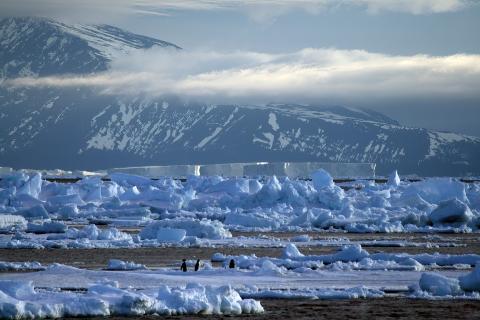Photograph of a harsh yet striking Antarctica scene, with massive chunks of snow splayed out in front of a massive snowy mountain obscured by thick low clouds