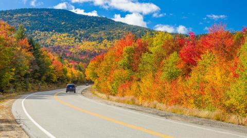 Photograph of a car viewed at distance, driving along a winding road sandwiched between brilliant autumn forests and in front of a steep tree-covered hillside