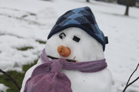 Photograph of a snowman wearing a blue hat and purple scarf shot in cold blue-ish lighting, its face made from natural elements with a somewhat muted, somber expression