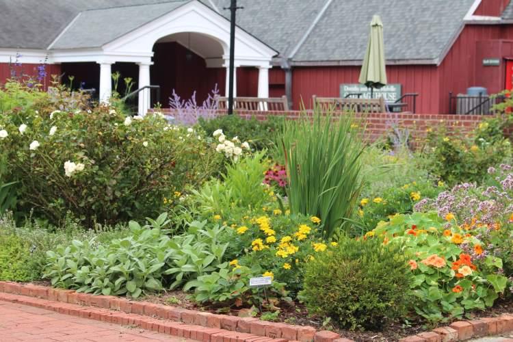 Long Island Museum exterior with foliage