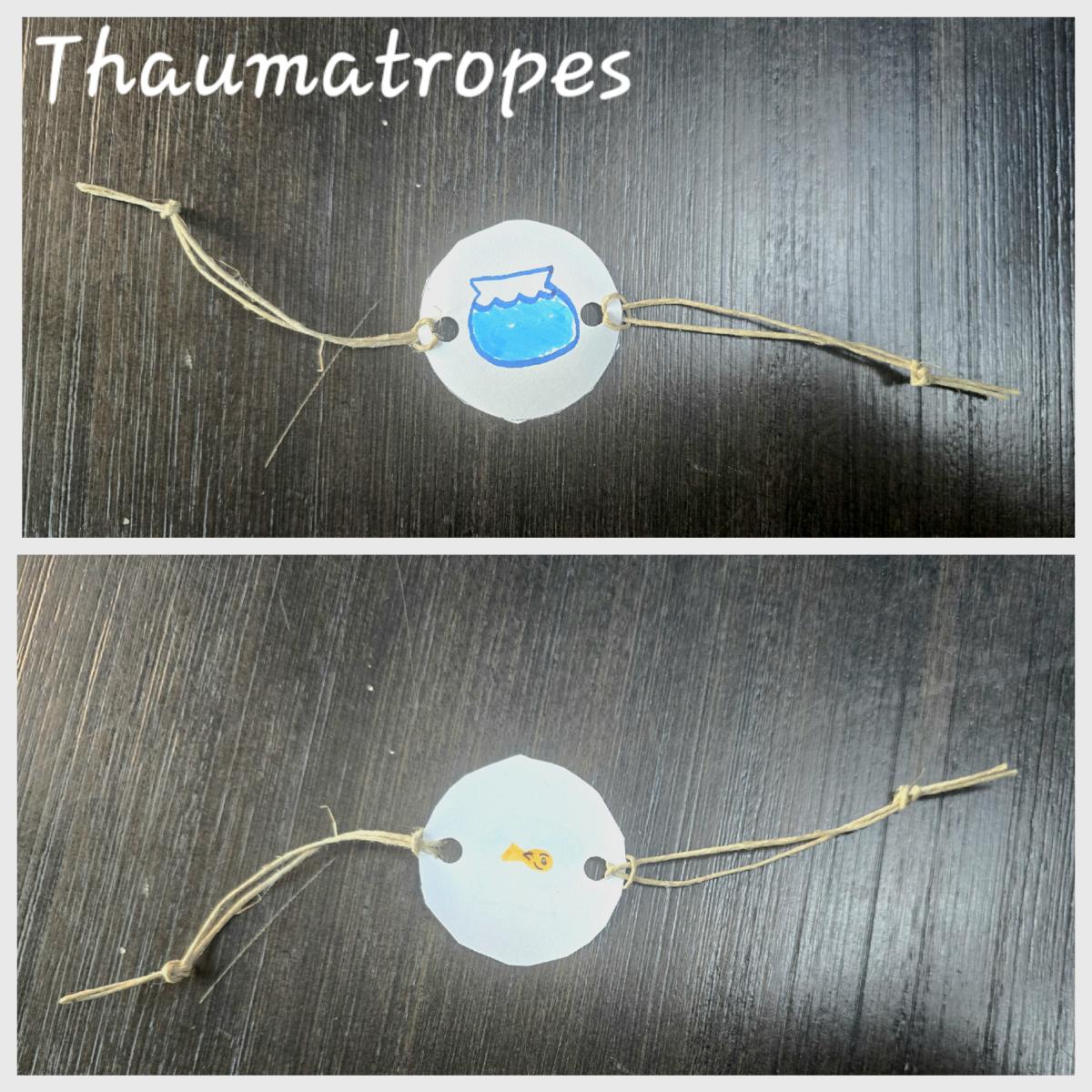 Thaumatrope